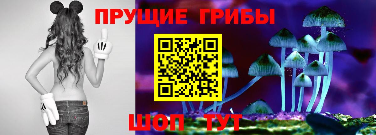 Тверь  купить  сайты  Вход с VPN  Галлюциногенные грибы мицелий 